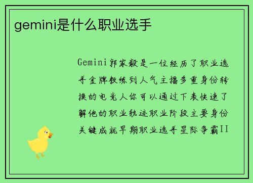 gemini是什么职业选手